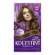 Tinte Kolestint (Wella)